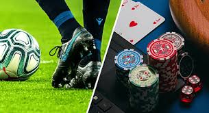 Descubra o Mundo das Apostas com 67 Bet 17