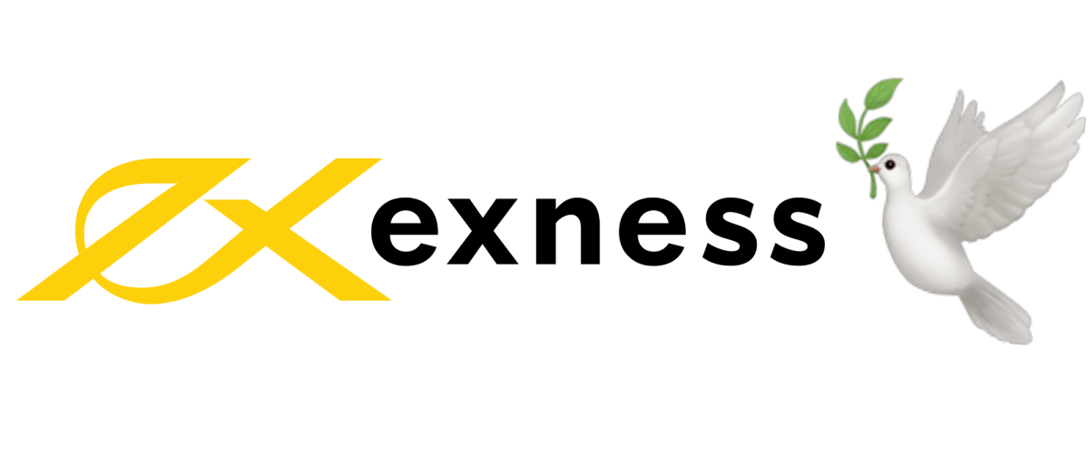 Mastering Trading with MetaTrader 4 Exness Limited VC Guide